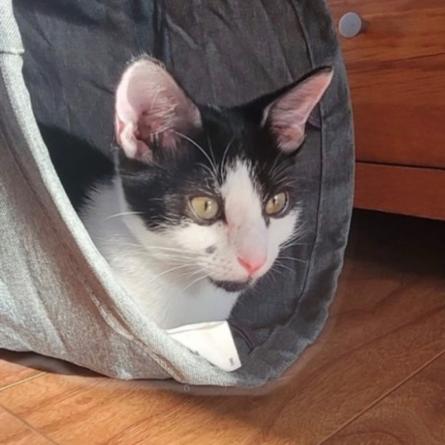 Photo of Manny And Munro