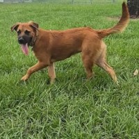 Photo of Penny