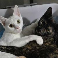 Photo of Mackenzie And Faith