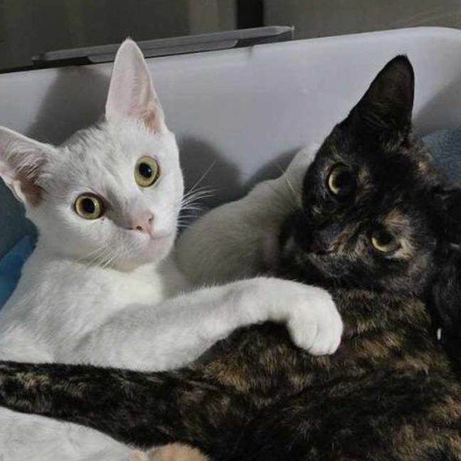 Photo of Mackenzie And Faith