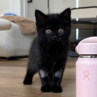 Photo of Spud