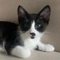 Photo of Lucy