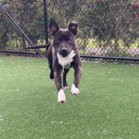 Photo of Axel Imp 1660