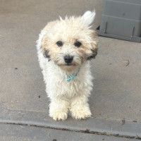 Photo of Eddie