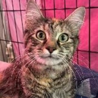 Photo of Molly