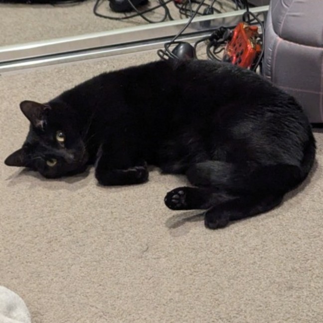 Photo of Jasmine