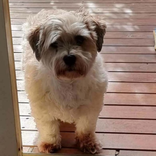Photo of Benny