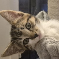 Photo of Amber & Arlee 🌷🌷