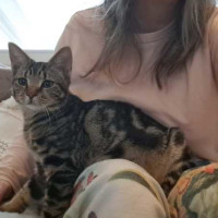 Photo of Skippy