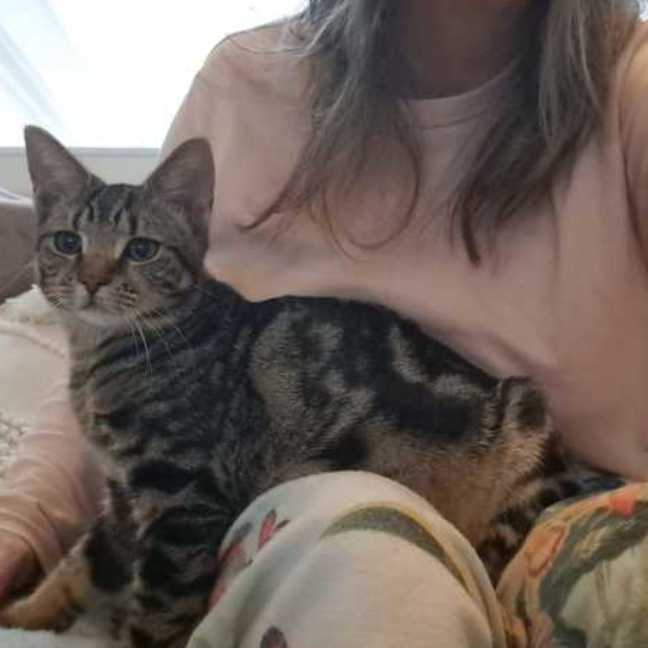 Photo of Skippy