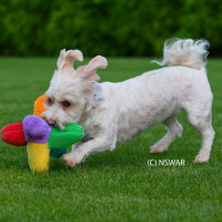 Photo of Samuel