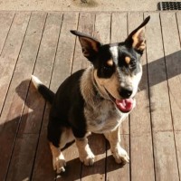 Photo of Ryke (Ry Kah)