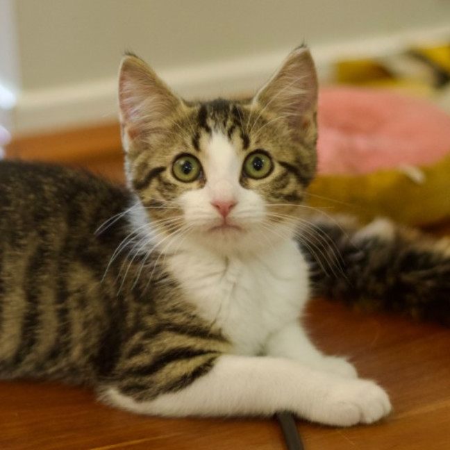 Photo of 💟 Mabel 💟