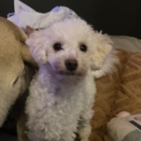 Photo of Tully