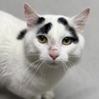 Photo of 🍭 Cleveland 6617 🍭