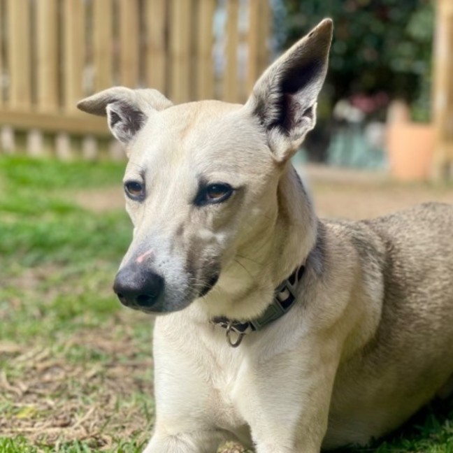 Photo of Stanley