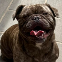 Photo of Pepsi