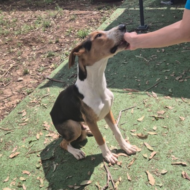 Photo of Wilbur