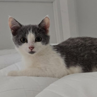 Photo of Abby