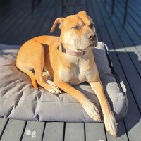 Photo of Vala