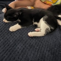 Photo of Peanut