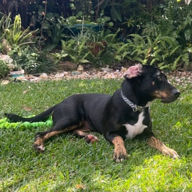 Photo of Jojo