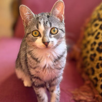 Photo of Fleur