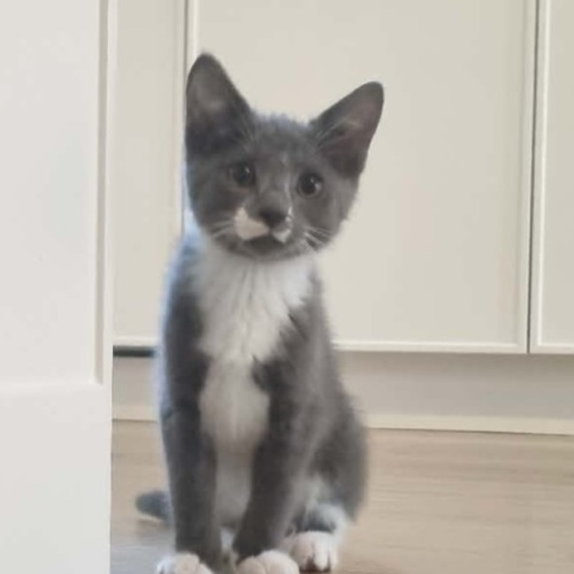 Photo of Ashy ♥️♥️💙