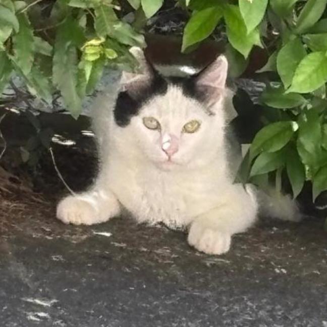 Photo of Hugh And Imogen 