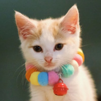 Photo of 💙 Orlando 💙