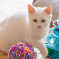 Photo of Thelma