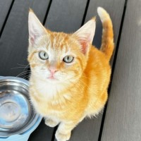 Photo of Tobi