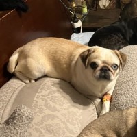 Photo of Ariel
