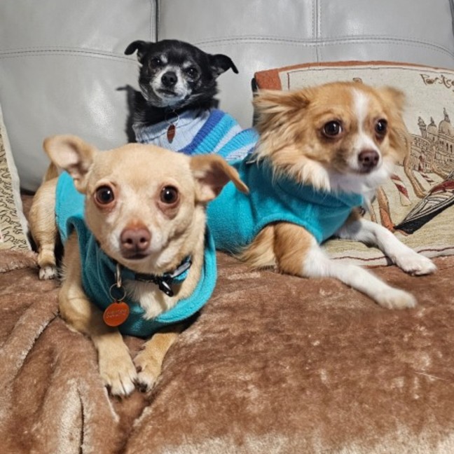 Photo of Chiquita & Alejandro