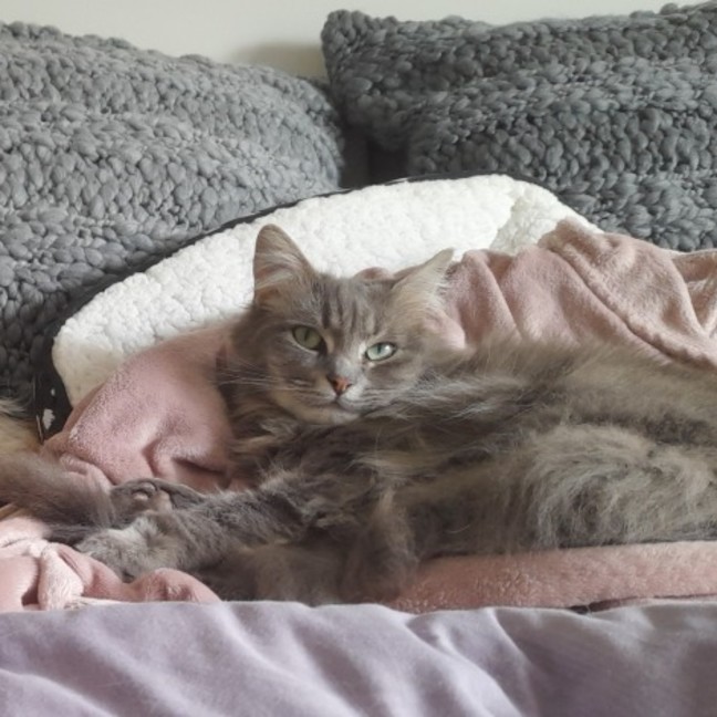 Photo of Luna & Sage