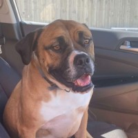 Photo of Bella 