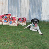 Photo of Clyde