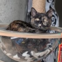 Photo of Candy