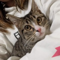 Photo of Gertrude Mc Fuzz
