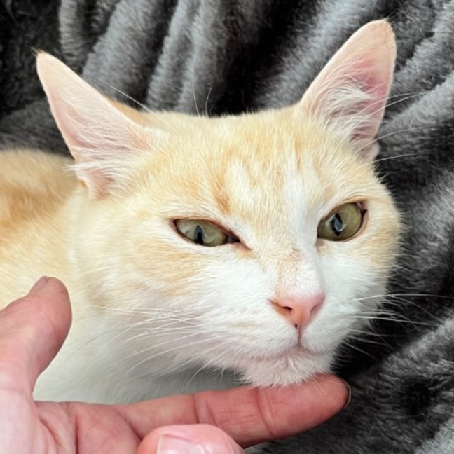 Photo of Daisy