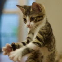 Photo of 💟 Mabel 💟