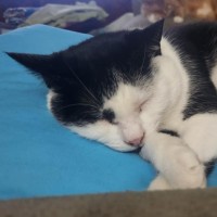 Photo of 💗 Amarina   Total Sweetheart 💗