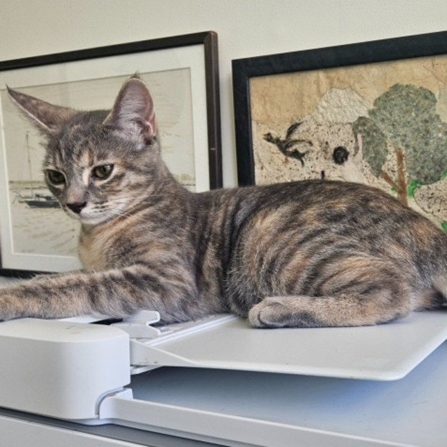 Photo of Lucy