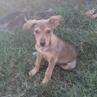 Photo of Skye