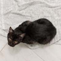 Photo of Vera