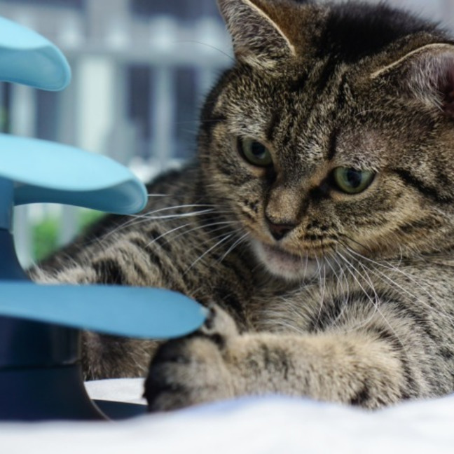 Photo of 💖Rin!!💖