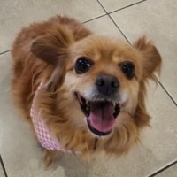 Photo of Lola
