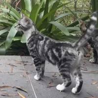 Photo of Otis And Reading