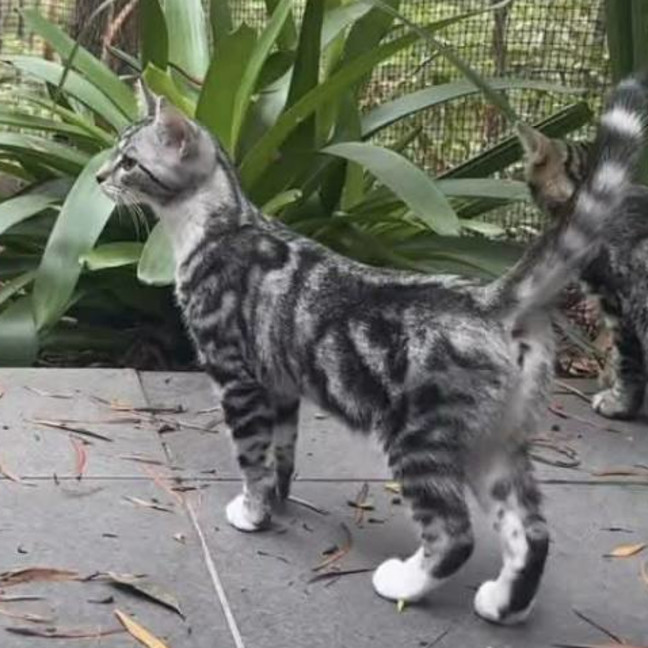 Photo of Otis And Reading