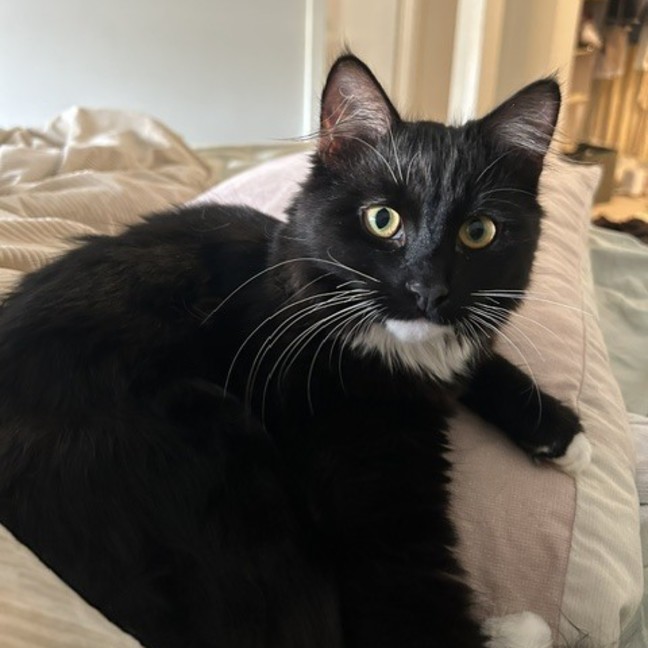 Photo of Billy